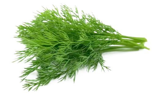 УКРОП 200гр ИП ГКФХ Кварцхава Д. А 