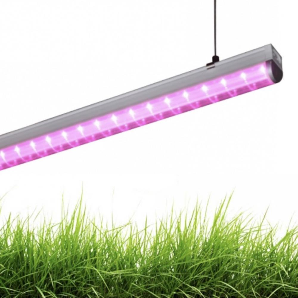 Фито светильник для растений LED 60 см., 10 Вт