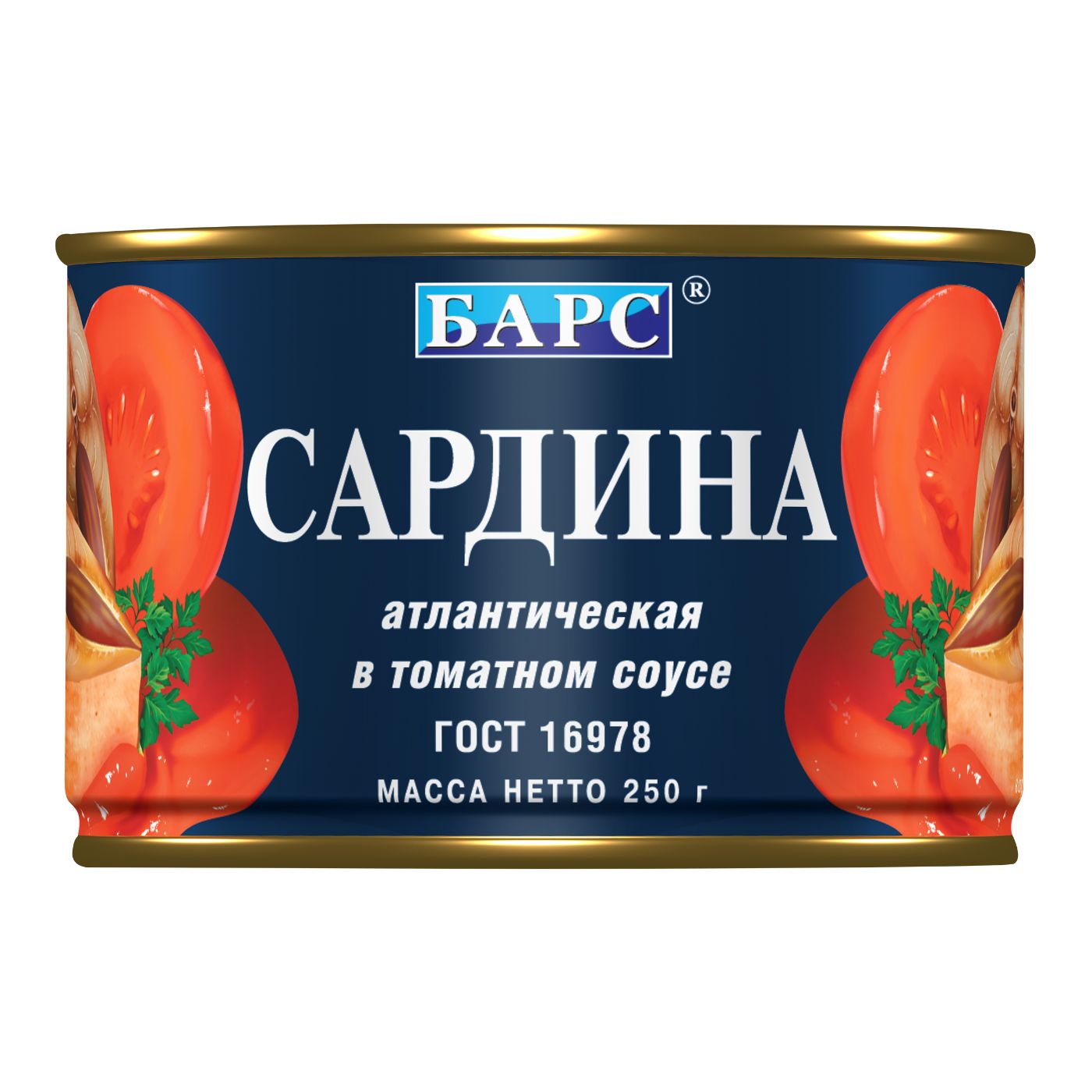 Сардина Барс атл. в т/с 250г №6 ключ