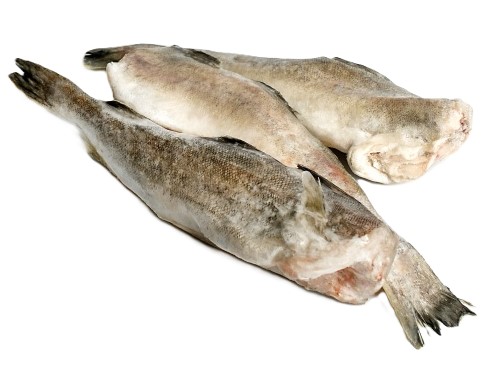 Навага БГ М 