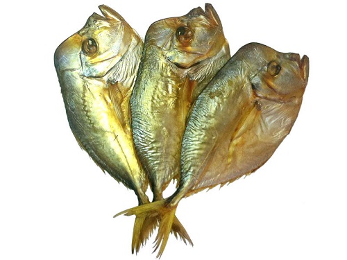 Вомер хк вес