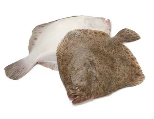 Камбала НР 30 вес