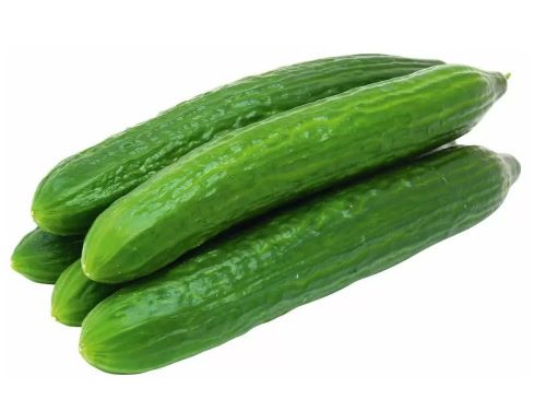 Огурцы свежие., вес Россия