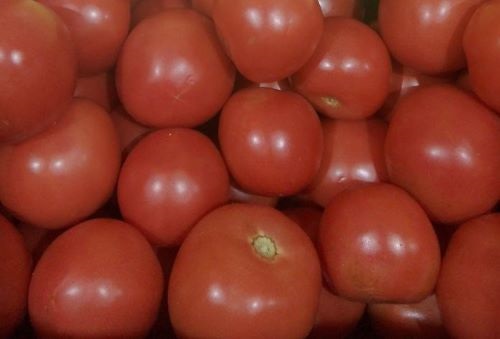 Томат, кг, вес