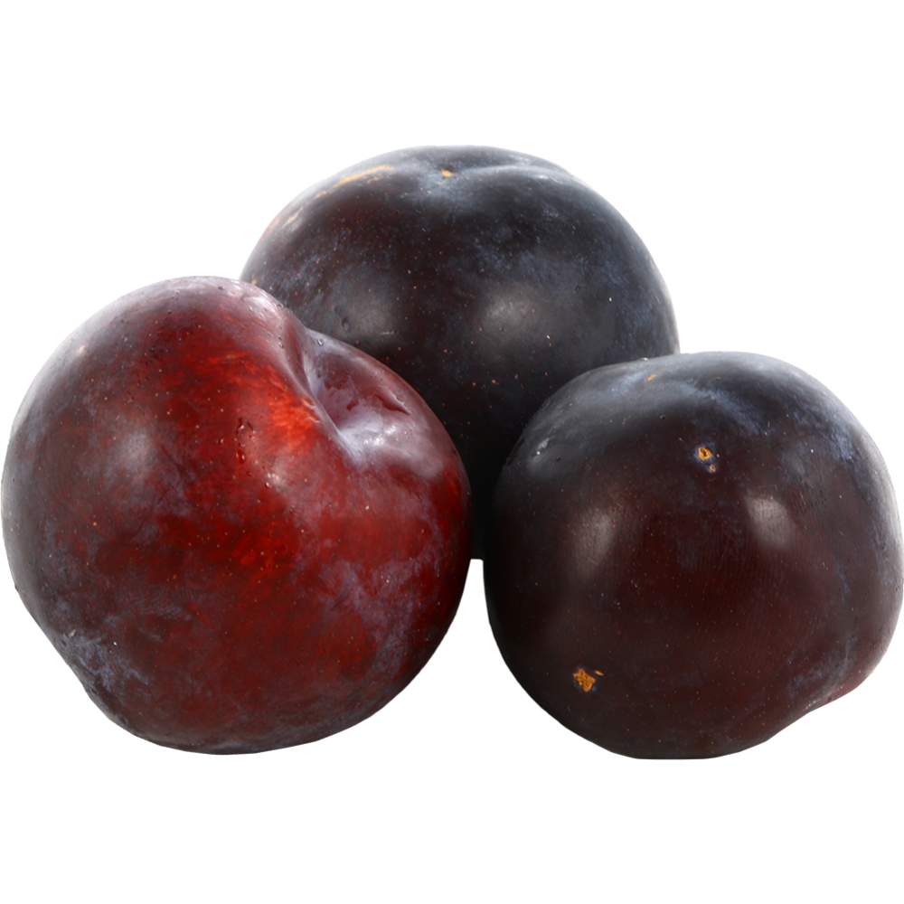 СЛИВА ВЕС РОССИЯ