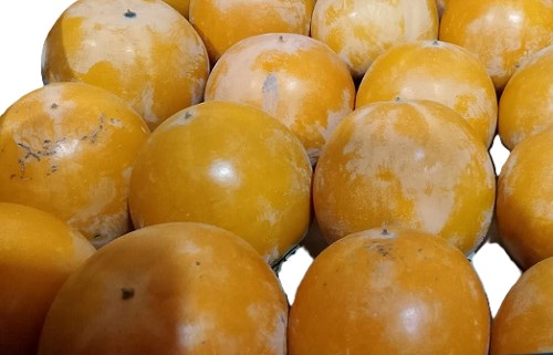 Хурма весовая